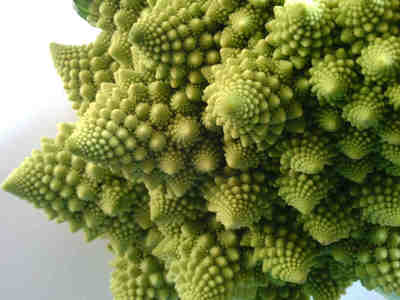 У капусты - фрактальная форма соцветий.