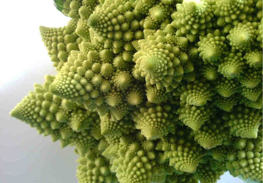 У капусты - фрактальная форма соцветий.