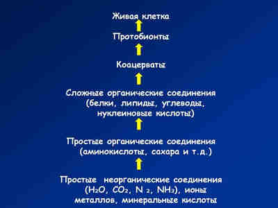 Этапы возникновения жизни по И. А. Опарину