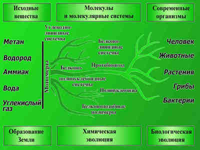 Возникновение жизни