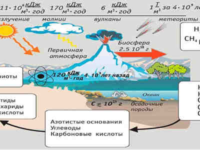 Гипотеза биохимической эволюции