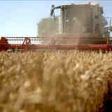 Будет продразвёрстка