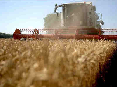 До военных действий считал европейцев, как минимум, неглупой цивилизацией. С каждым днём мое мнение меняется в противоположную сторону все больше.