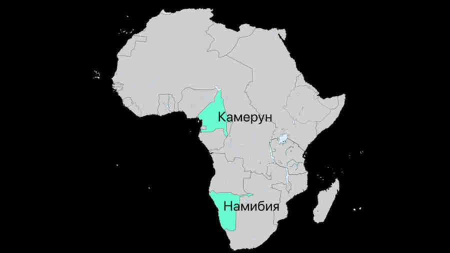 В 80-х годах 19 века немецкие предприниматели  основали торговые поселения на территории  современных Намибии и Камеруна.