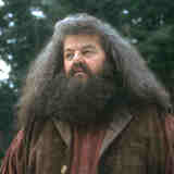 Хагрид - двойной агент?