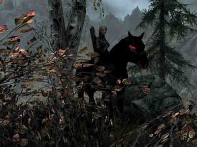 Первая игра в этой Вселенной вышла в далёком 1994 году, но лично для меня она открылась лишь в 2011 - в момент выхода The Elder Scrolls V: Skyrim