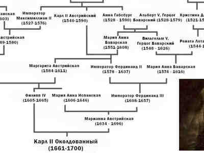 Важно отметить, что династия Габсбургов выражала свою силу через политические браки, причем очень часто (да что там говорить - ПОСТОЯННО!) между дальними и ближними родственниками. Это имело цель сохранить власть, богатство и влияние внутри династии, а также укрепить политические союзы с другими монархиями.