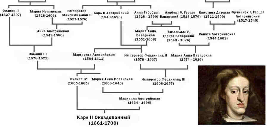 Важно отметить, что династия Габсбургов выражала свою силу через политические браки, причем очень часто (да что там говорить - ПОСТОЯННО!) между дальними и ближними родственниками. Это имело цель сохранить власть, богатство и влияние внутри династии, а также укрепить политические союзы с другими монархиями.
