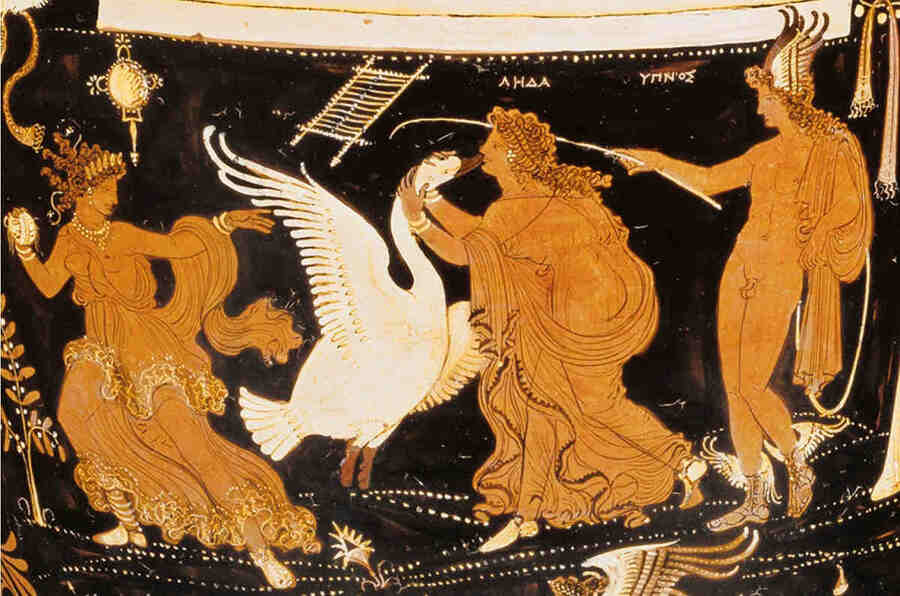 Когда Леда отдыхала на берегу реки (или озера) Зевс явился к ней в виде лебедя и овладел ею.