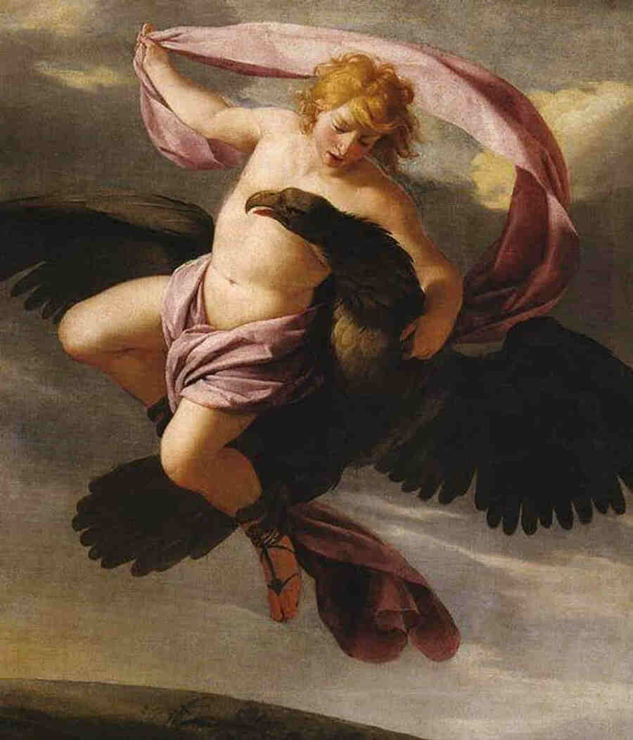 Звали юношу Ганимед и был он настолько красив, что Зевс послал своего орла, чтобы  похитить его (по другим мифам - Зевс самолично полетел в образе орла).