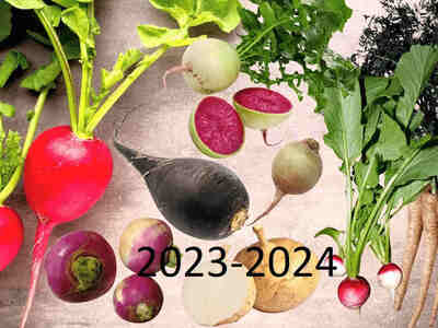 Новый сезон открыт!