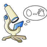 Антинаука. Научно-популярная