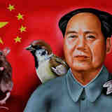 Бить по воробьям. Успешно