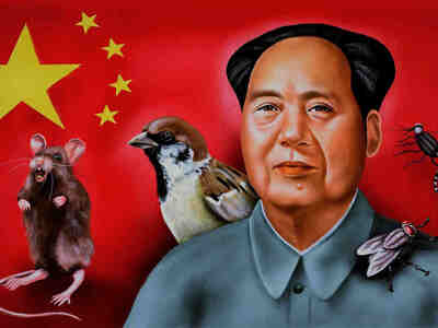 Как исчезновение птиц стало одной из важнейших причин великого китайского голода в XX веке?