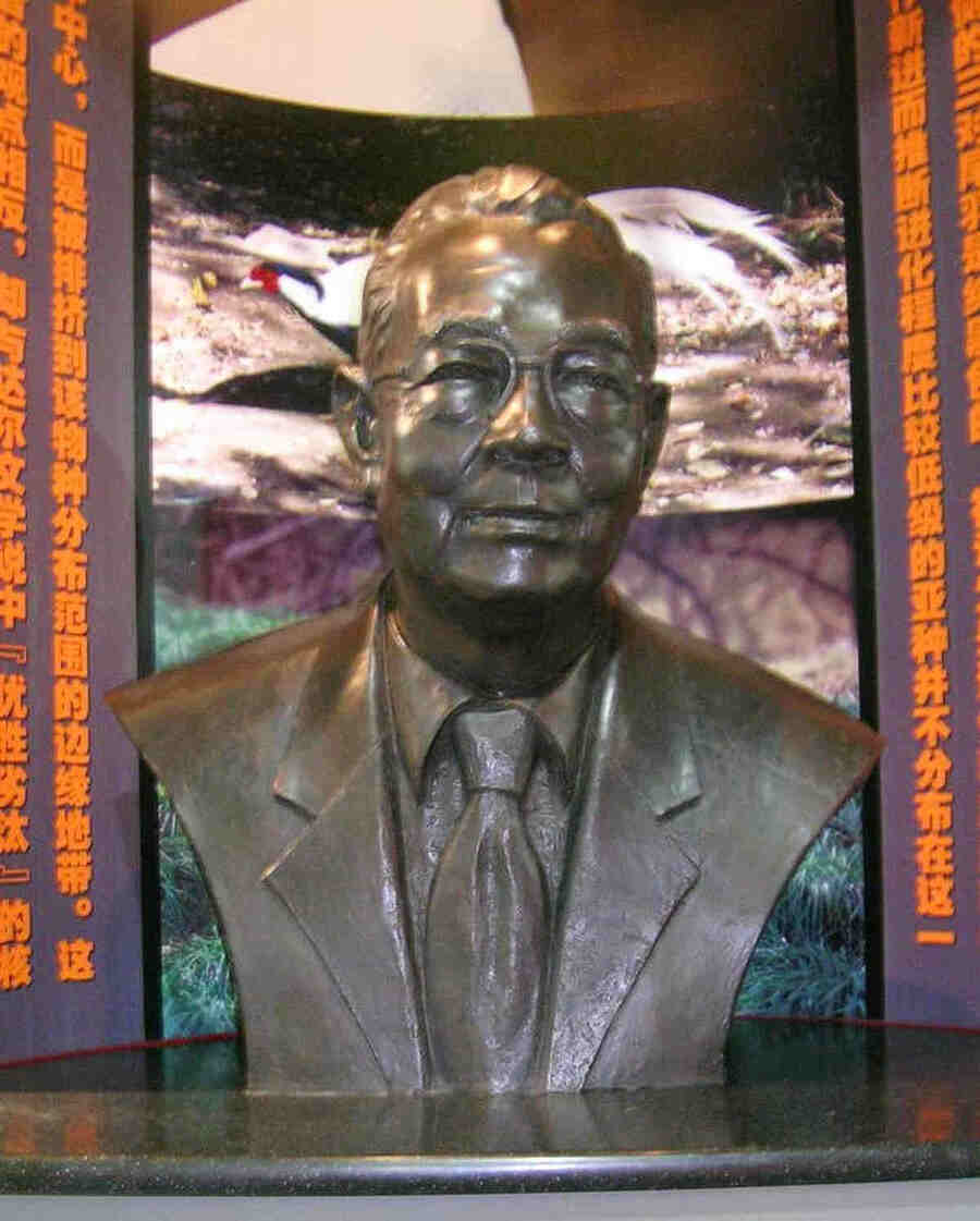 Чжэн Цзосинь построил блестящую карьеру, открыл несколько новых подвидов птиц, и ушёл из жизни в 92 года в 1998 году. Сейчас его называют основателем китайской орнитологии и зоологии.