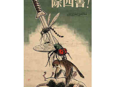 Речь Чжоу Цзяня была о четырёх главных вредителях в Китае - комарах, мухах, крысах и воробьях. Особенно последним.