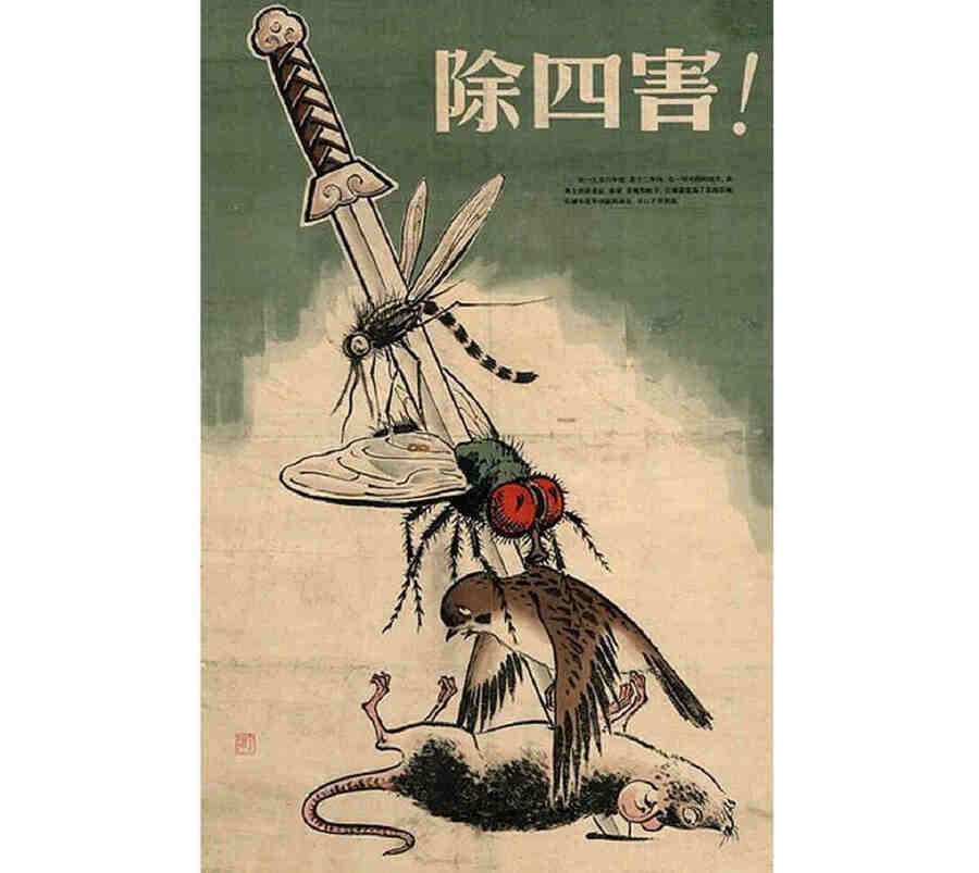 Речь Чжоу Цзяня была о четырёх главных вредителях в Китае - комарах, мухах, крысах и воробьях. Особенно последним.