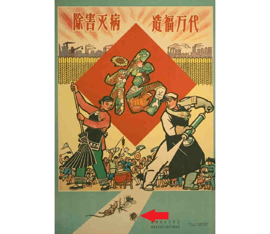 За рубежом было закуплено зерно, а у СССР Китай попросил воробьев. По распоряжению Мао их вычеркнули из списка вредителей, заменив на клопов, а СССР «поставил» в Китай 200 тысяч пернатых.