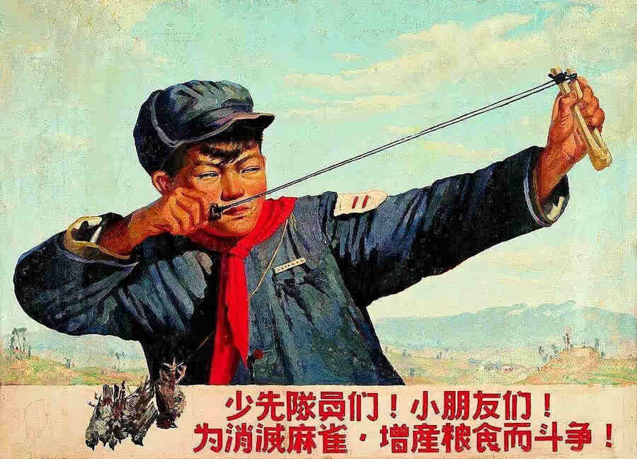 Лучшим стрелкам на школьных линейках вручали грамоты и медали, а об их успехах сообщали по радио.