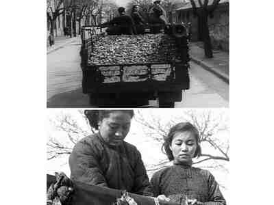 Сегодня невозможно без ужаса смотреть кадры китайской хроники, когда по улице едет грузовик, переполненный мёртвыми птицами.