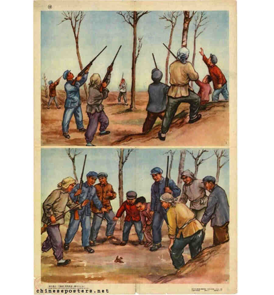 С войной на маленьких пернатых! Уничтожить вредителей! — такие агитки распространялись массово.