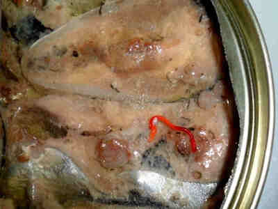 Скребни – эндопаразиты, развивающиеся с метаморфозом и сменой хозяев.