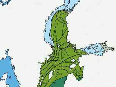 Температура воды и соленость на поверхности Балтийского моря летом