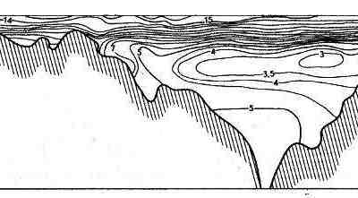 Температура воды (°С) на продольном разрезе в Балтийском море