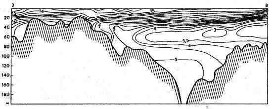 Температура воды (°С) на продольном разрезе в Балтийском море