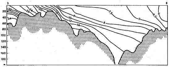 Соленость (‰) на продольном разрезе в Балтийском море