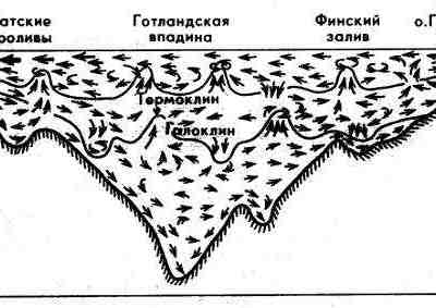 Циркуляция вод в Балтийском море