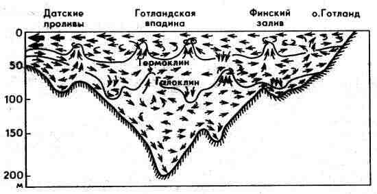 Циркуляция вод в Балтийском море