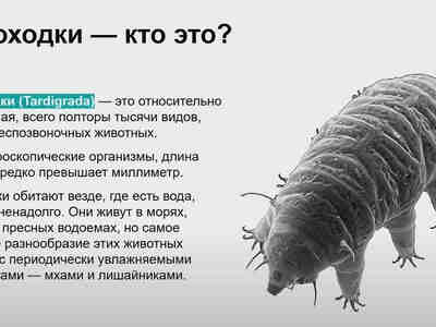 Они живут в самых различных средах, от морских глубин до горных вершин, и могут переносить условия, которые были бы смертельны для большинства других форм жизни.