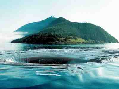 Чертова воронка