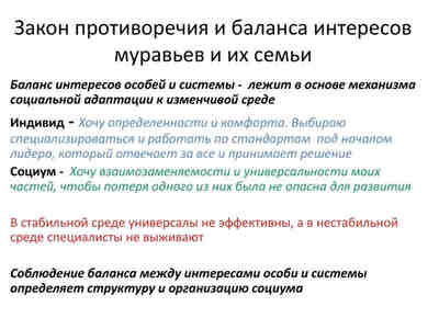 Закон противоречия и баланса