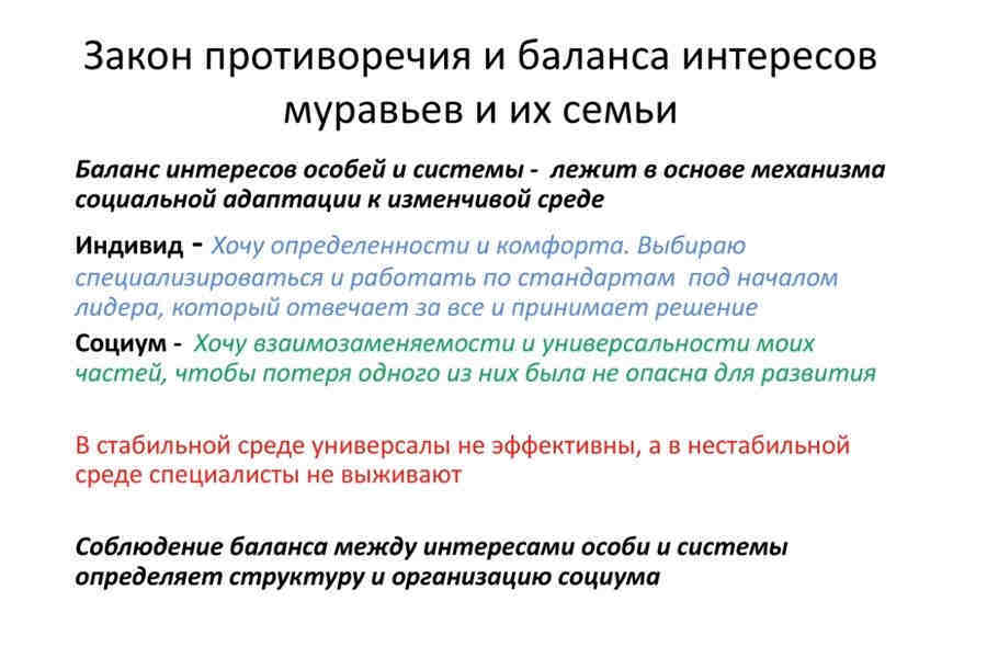 Закон противоречия и баланса