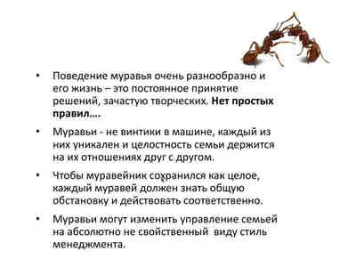 Нет простых правил