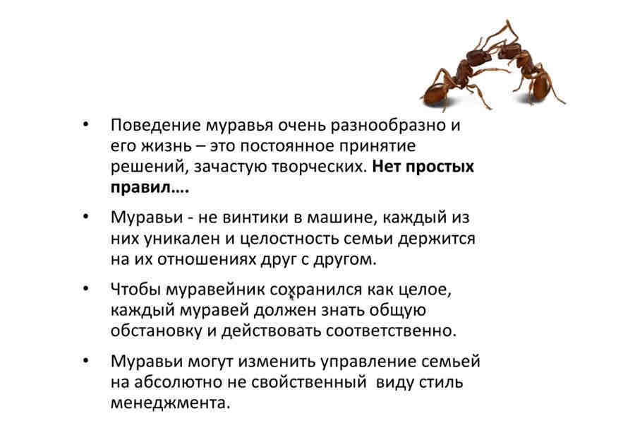 Нет простых правил