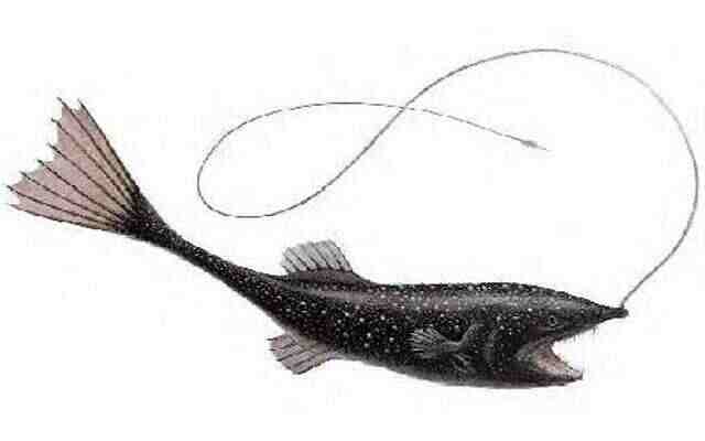 Ещё один морской черт